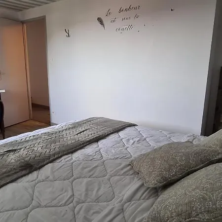 L'ange De Groupe Proche Du Puy Du Fou *